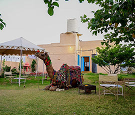 camel safari in pushkar pushkar karni camp