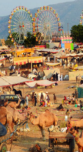 pushkar fair in pushkar pushkar karni camp