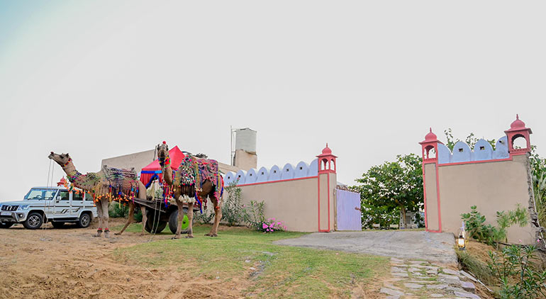 Pushkar Desert Karni Camp - Camel Safari