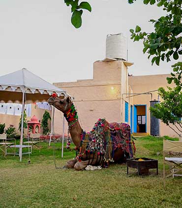 Pushkar Desert Karni Camp