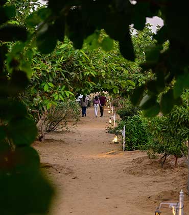 Pushkar Desert Karni Camp